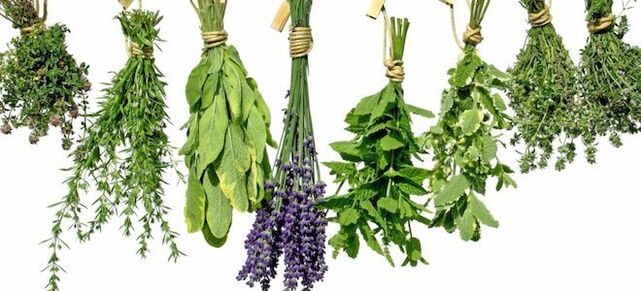 Herbes pour augmenter la puissance chez les hommes